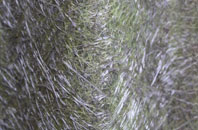 Llanfair Nant Gwyn fibreglass roof work